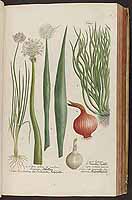  no thumbnail available