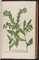  no thumbnail available