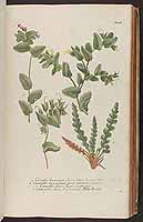  no thumbnail available