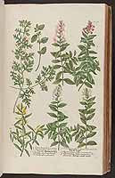  no thumbnail available