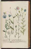  no thumbnail available