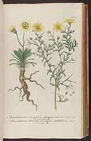  no thumbnail available