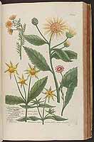  no thumbnail available