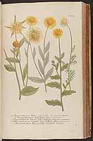  no thumbnail available