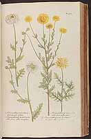  no thumbnail available