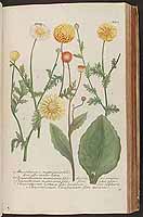  no thumbnail available