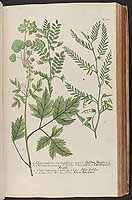  no thumbnail available