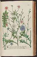  no thumbnail available