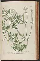  no thumbnail available