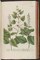  no thumbnail available