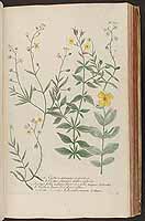  no thumbnail available