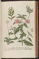  no thumbnail available