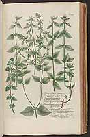  no thumbnail available