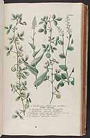  no thumbnail available