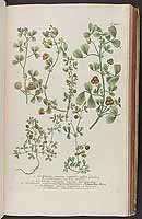  no thumbnail available