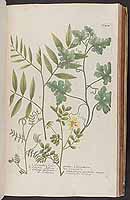  no thumbnail available