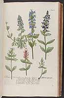  no thumbnail available