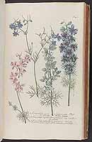  no thumbnail available