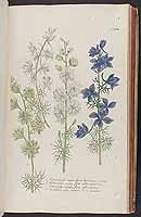  no thumbnail available