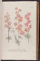  no thumbnail available