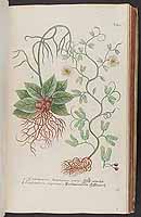  no thumbnail available