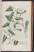  no thumbnail available