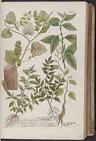  no thumbnail available