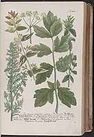  no thumbnail available