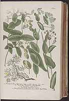  no thumbnail available