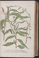  no thumbnail available