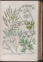  no thumbnail available