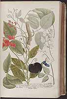  no thumbnail available