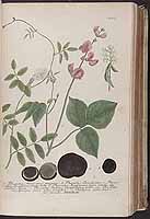  no thumbnail available