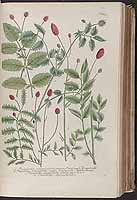  no thumbnail available