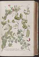  no thumbnail available