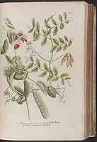  no thumbnail available