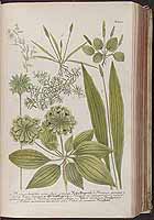  no thumbnail available