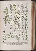  no thumbnail available