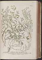  no thumbnail available