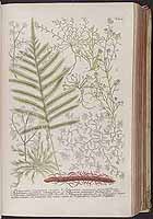  no thumbnail available