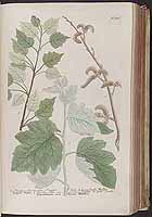  no thumbnail available