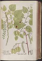  no thumbnail available