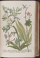  no thumbnail available