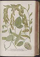  no thumbnail available