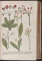  no thumbnail available