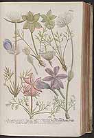  no thumbnail available