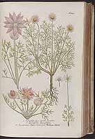  no thumbnail available