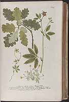  no thumbnail available