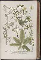  no thumbnail available