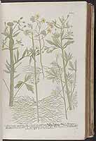  no thumbnail available